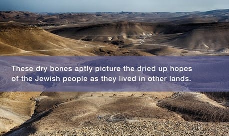 The Time to Favor Zion Has Come. The Valley of Dry Bones is being fulfilled before our eyes.