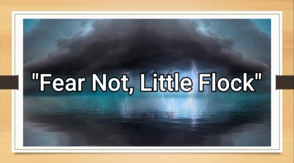 Fear Not, Little Flock