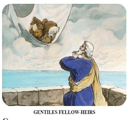 A person looking at a group of animals Description automatically generated