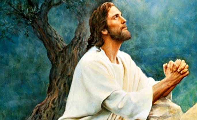 A person sitting in front of a tree Description automatically generated