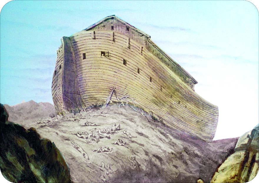 A picture containing nature, rock, trunk Description automatically generated