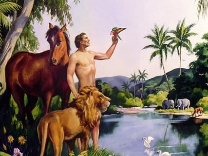 Father Dylan James: Sermons, Talks, Lectures & more: Alone in the Garden, 27th Sunday in Ordinary Time, Yr B