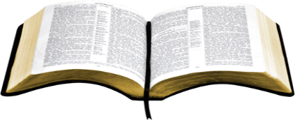 open bible PNG